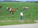 Kandelrennen 2004       173