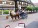 Kandelrennen 2004       19