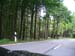 Kandelrennen 2004       226